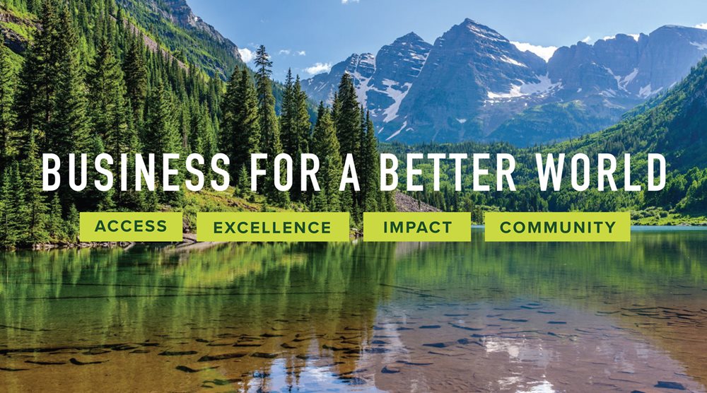Business for a Better World: Access, Excellence, Impact,Community